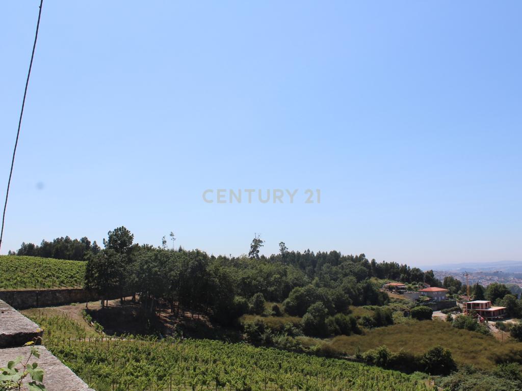 Quinta da Cerqueda, Santo Tirso - Image 13