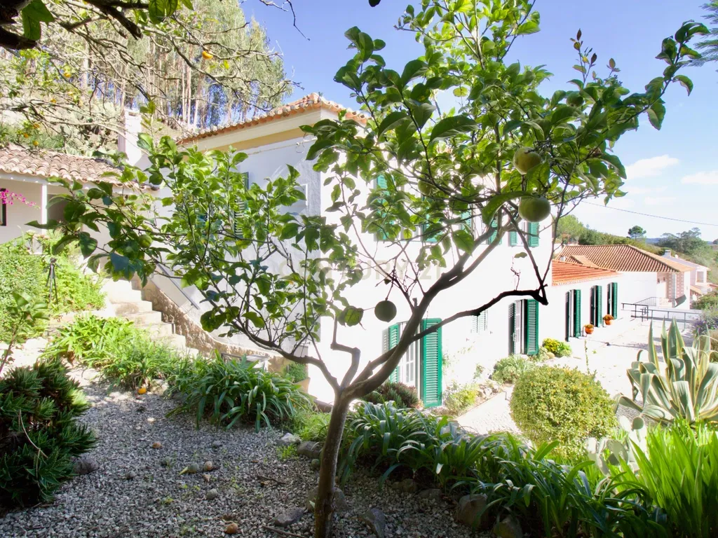 Casa de Charme - Combinação de história, natureza e potencial de desenvolvimento - Torres Vedras - Image 3