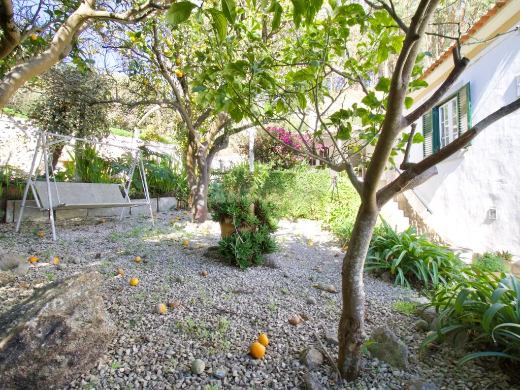 Casa de Charme - Combinação de história, natureza e potencial de desenvolvimento - Torres Vedras - Image 75