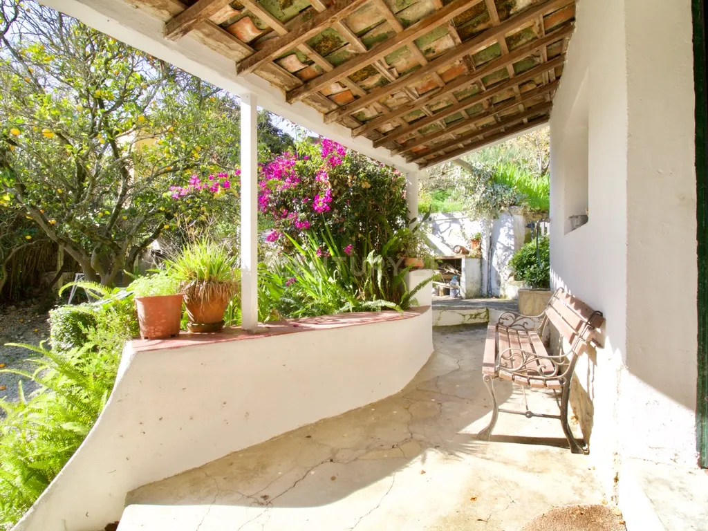 Casa de Charme - Combinação de história, natureza e potencial de desenvolvimento - Torres Vedras - Image 8