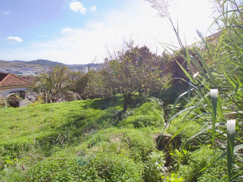 Casa de Charme - Combinação de história, natureza e potencial de desenvolvimento - Torres Vedras - Image 78