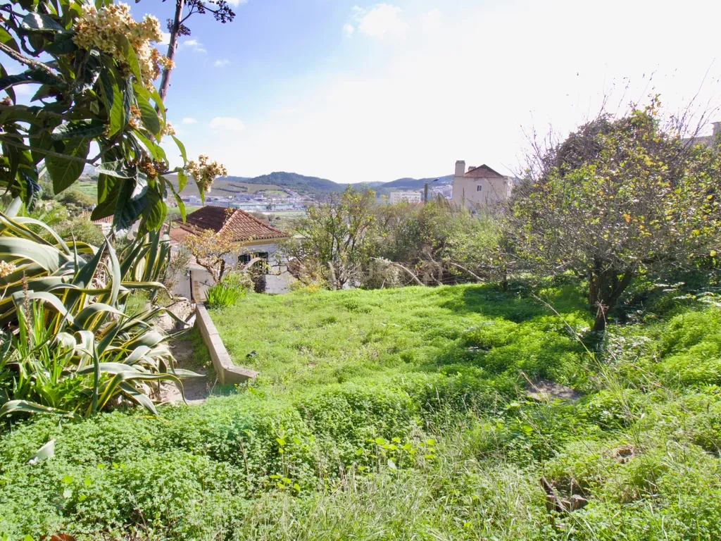 Casa de Charme - Combinação de história, natureza e potencial de desenvolvimento - Torres Vedras - Image 77