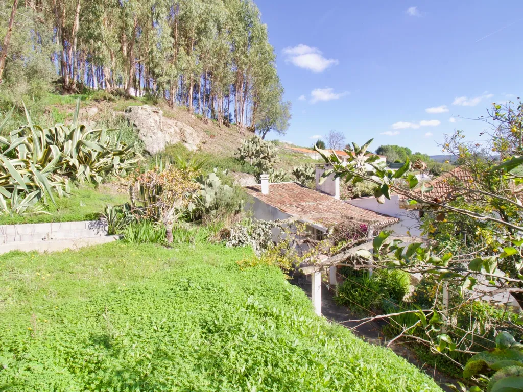Casa de Charme - Combinação de história, natureza e potencial de desenvolvimento - Torres Vedras - Image 24