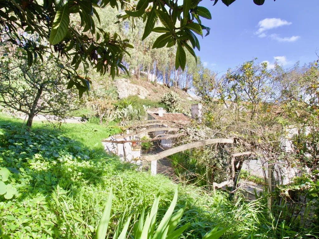 Casa de Charme - Combinação de história, natureza e potencial de desenvolvimento - Torres Vedras - Image 7