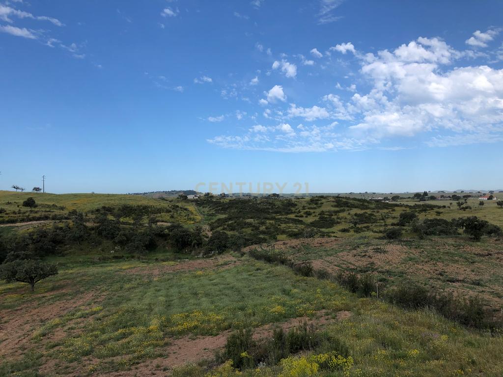 Apresento esta espetacular Herdade Alentejana em Ourique com 25 Hectares, com cavalariças. Obra de conclusão da Herdade em curso. - Image 11
