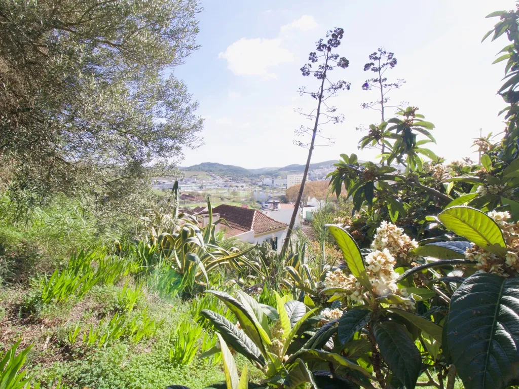 Casa de Charme - Combinação de história, natureza e potencial de desenvolvimento - Torres Vedras - Image 85