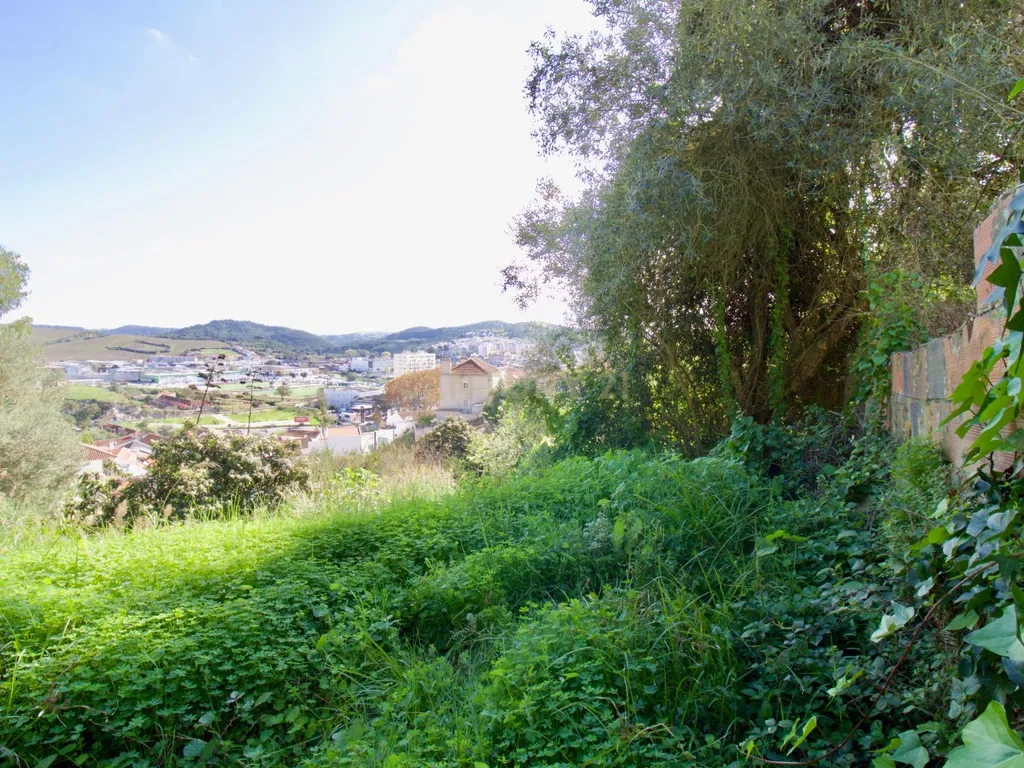 Casa de Charme - Combinação de história, natureza e potencial de desenvolvimento - Torres Vedras - Image 79