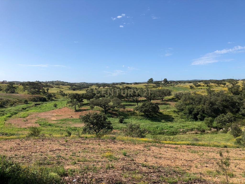 Apresento esta espetacular Herdade Alentejana em Ourique com 25 Hectares, com cavalariças. Obra de conclusão da Herdade em curso. - Image 15