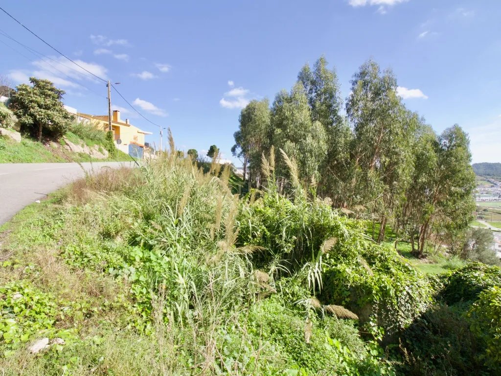 Casa de Charme - Combinação de história, natureza e potencial de desenvolvimento - Torres Vedras - Image 6