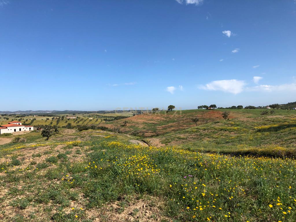Apresento esta espetacular Herdade Alentejana em Ourique com 25 Hectares, com cavalariças. Obra de conclusão da Herdade em curso. - Image 12