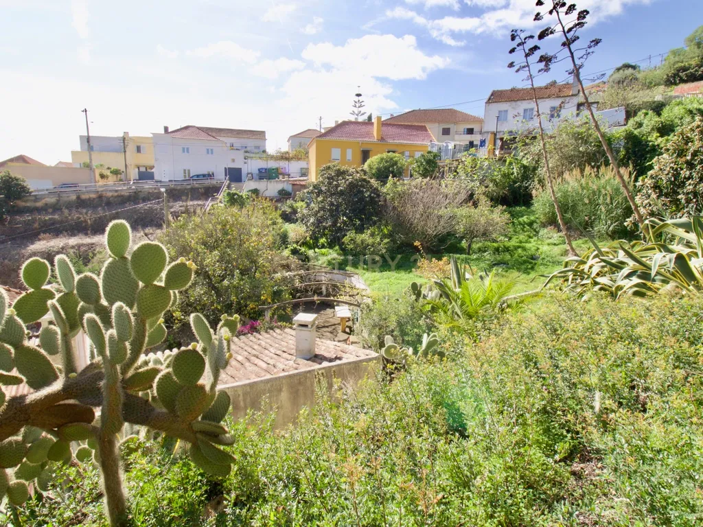 Casa de Charme - Combinação de história, natureza e potencial de desenvolvimento - Torres Vedras - Image 84