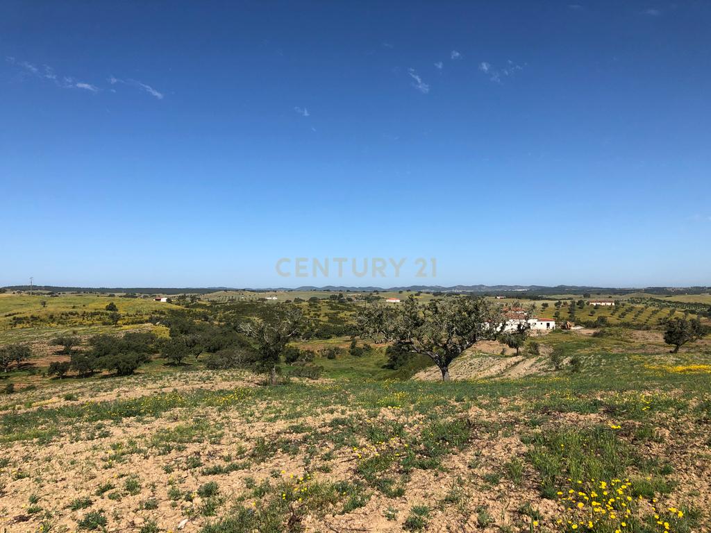 Apresento esta espetacular Herdade Alentejana em Ourique com 25 Hectares, com cavalariças. Obra de conclusão da Herdade em curso. - Image 13