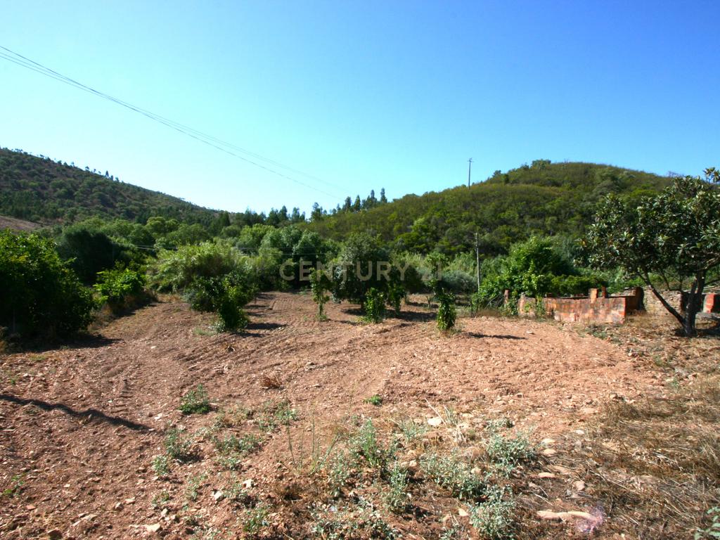 Quintinha no campo com horta  e arvores de fruta em Zebro de Baixo, Messines - Image 19