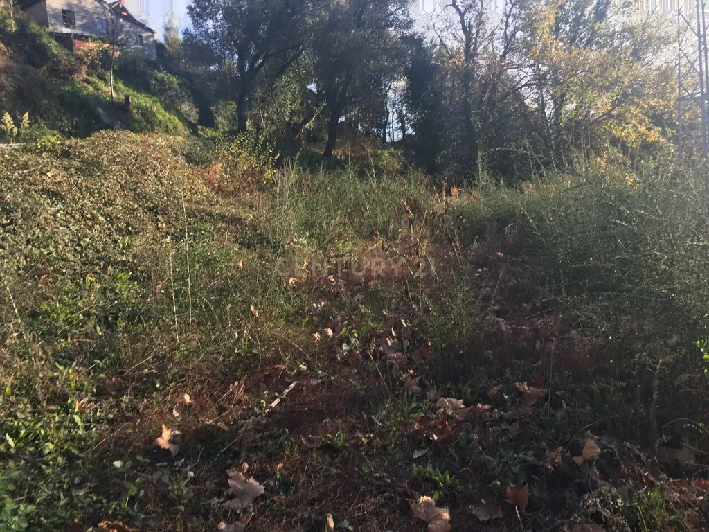 Terreno com 980m2 para construção - Image 7