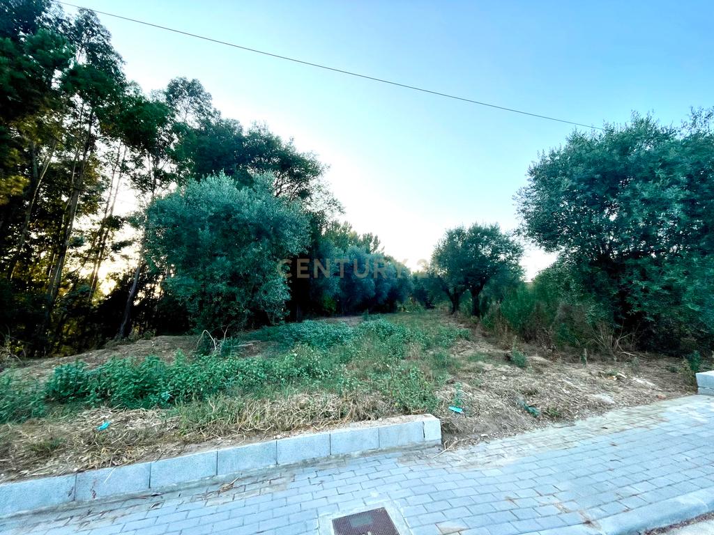Terreno com Viabilidade Construção ||  Casal da Quinta - Milagres - Image 10