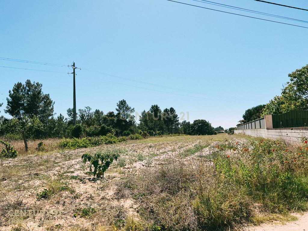 MORADIA EM T4 MARINHAIS – TRANQUILIDADE DO CAMPO, PERTO DA CIDADE - Image 21