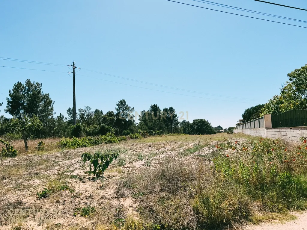 MORADIA EM T4 MARINHAIS – TRANQUILIDADE DO CAMPO, PERTO DA CIDADE - Image 21