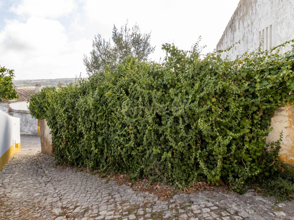 Moradia em ruína, dentro das muralhas em Óbidos - Image 11