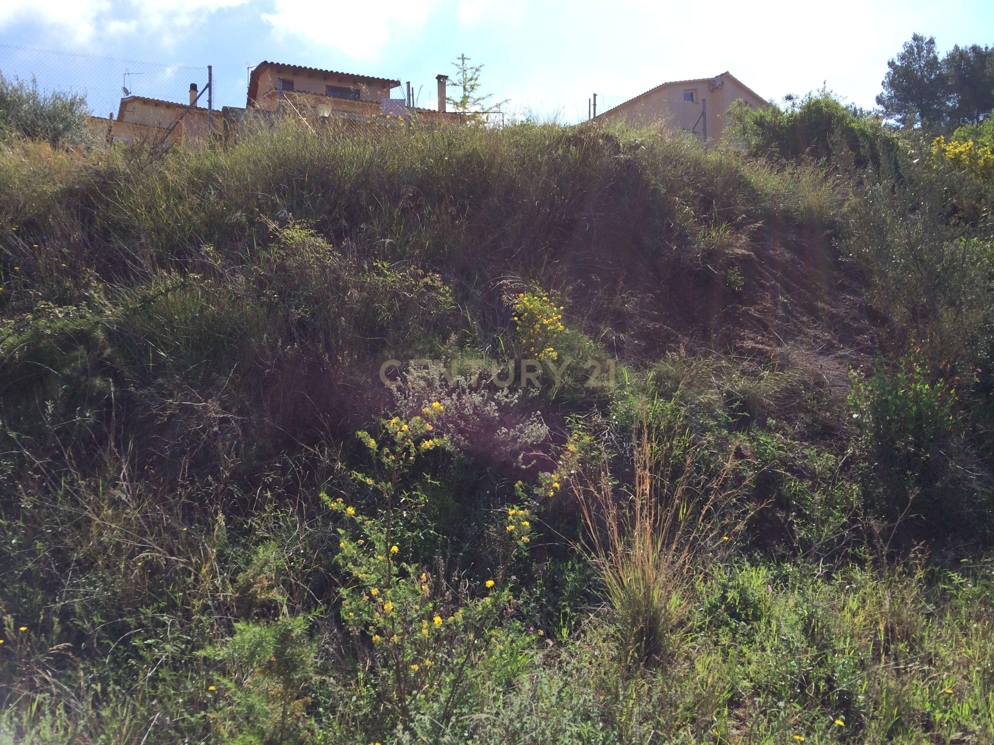 undefined - Image 10