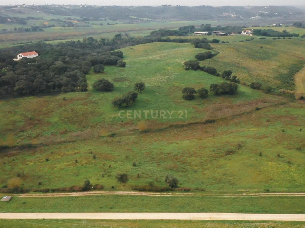 Quinta em Santarém com 24 Hectares de Terreno - Image 11