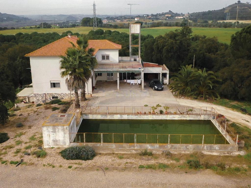 Quinta em Santarém com 24 Hectares de Terreno - Image 6