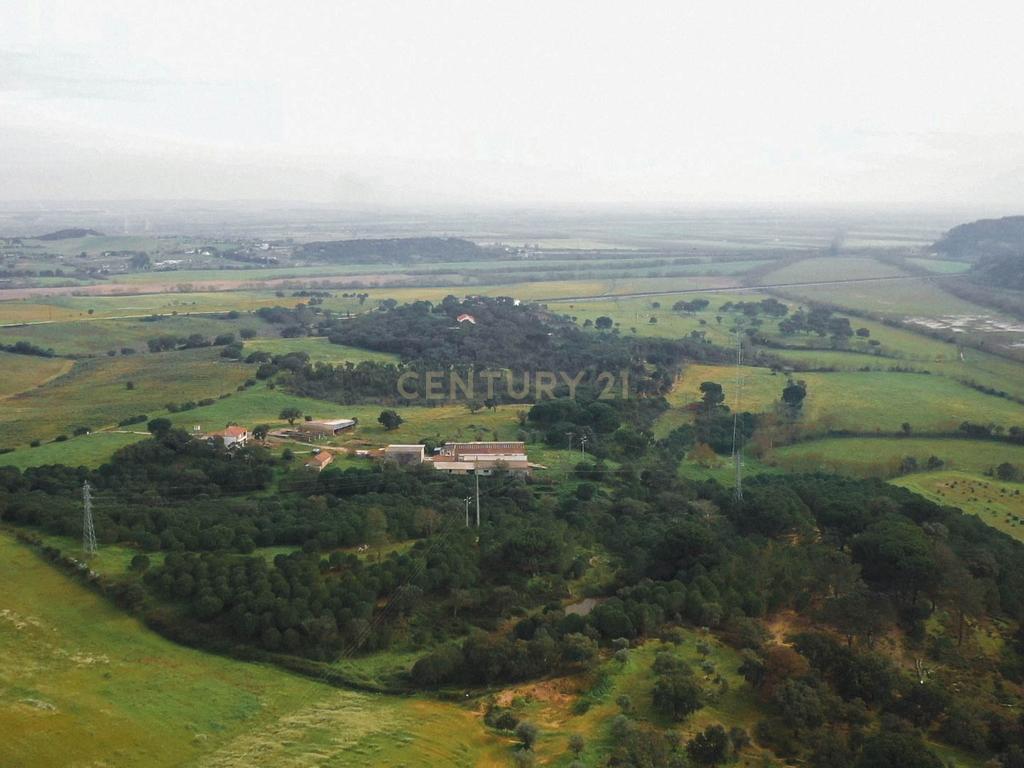 Quinta em Santarém com 24 Hectares de Terreno - Image 10