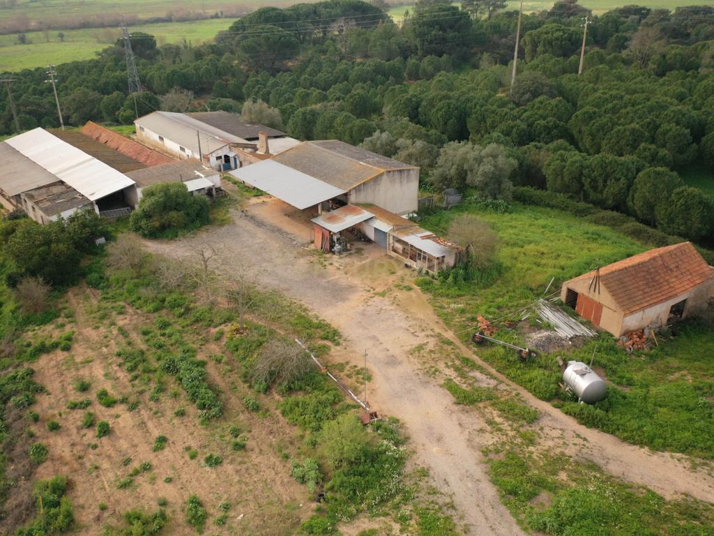 Quinta em Santarém com 24 Hectares de Terreno - Image 19