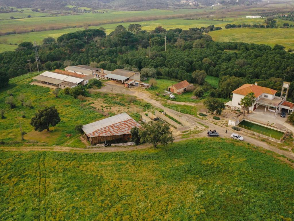 Quinta em Santarém com 24 Hectares de Terreno - Image 12