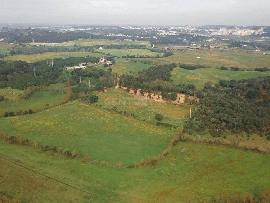 Quinta em Santarém com 24 Hectares de Terreno - Image 9