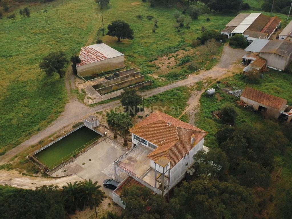 Quinta em Santarém com 24 Hectares de Terreno - Image 2
