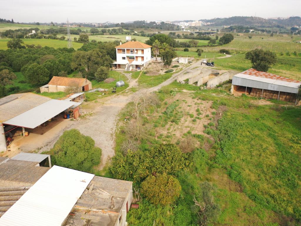 Quinta em Santarém com 24 Hectares de Terreno - Image 15