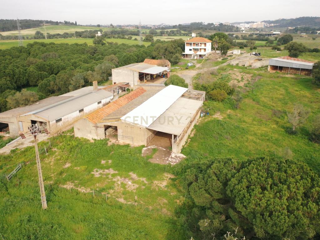 Quinta em Santarém com 24 Hectares de Terreno - Image 17