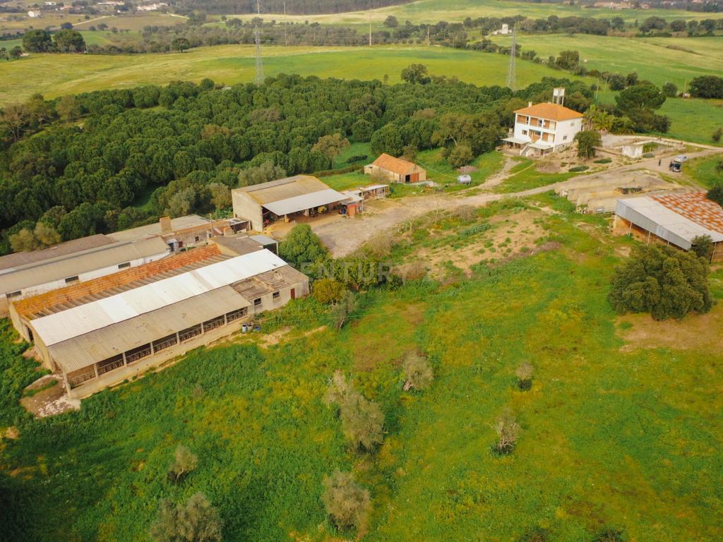 Quinta em Santarém com 24 Hectares de Terreno - Image 16