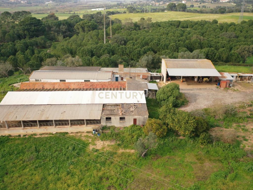 Quinta em Santarém com 24 Hectares de Terreno - Image 21