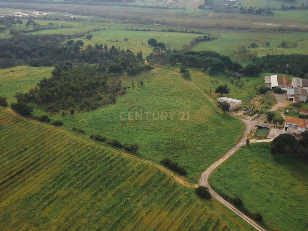 Quinta em Santarém com 24 Hectares de Terreno - Image 5