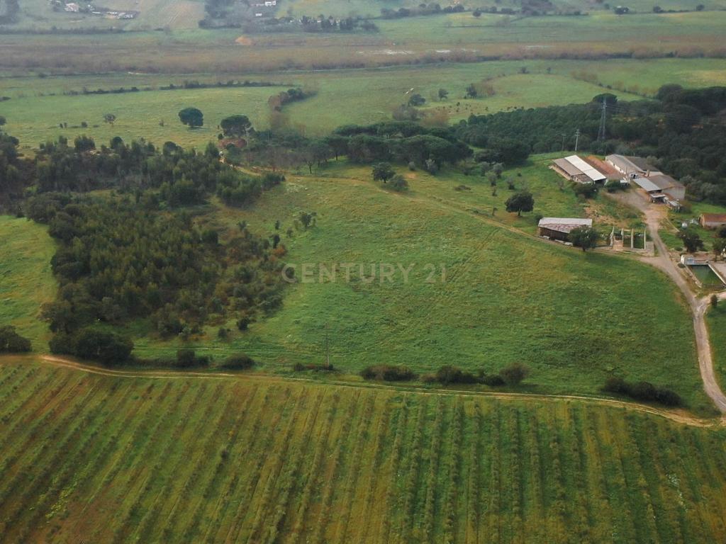 Quinta em Santarém com 24 Hectares de Terreno - Image 4