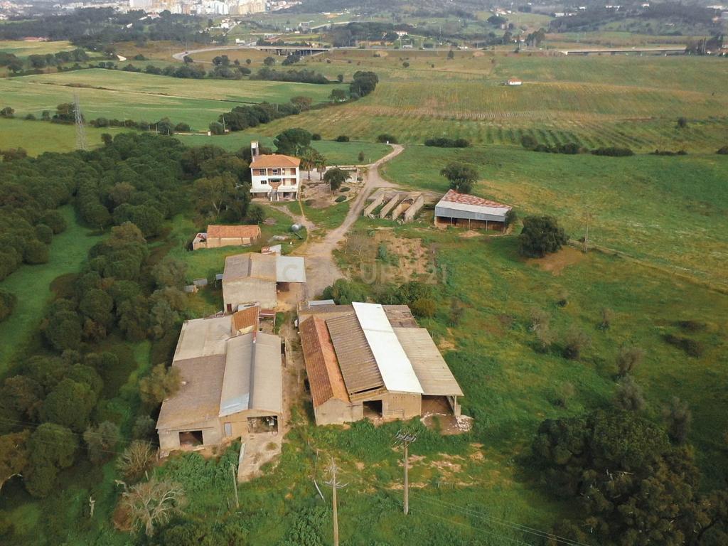 Quinta em Santarém com 24 Hectares de Terreno - Image 18