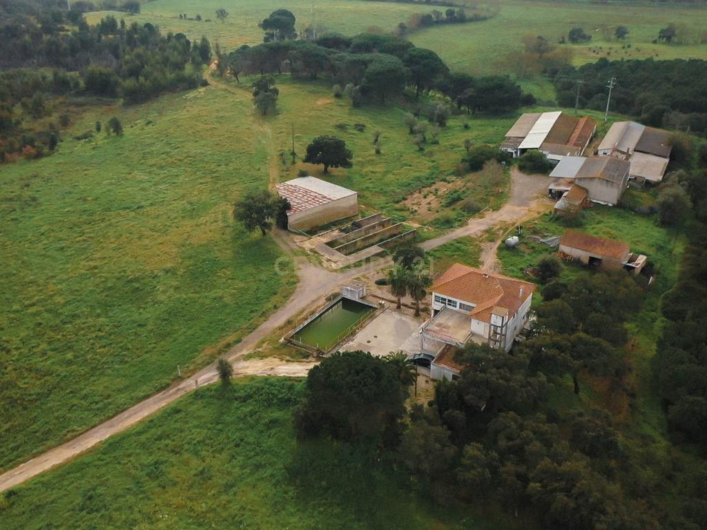 Quinta em Santarém com 24 Hectares de Terreno - Image 3
