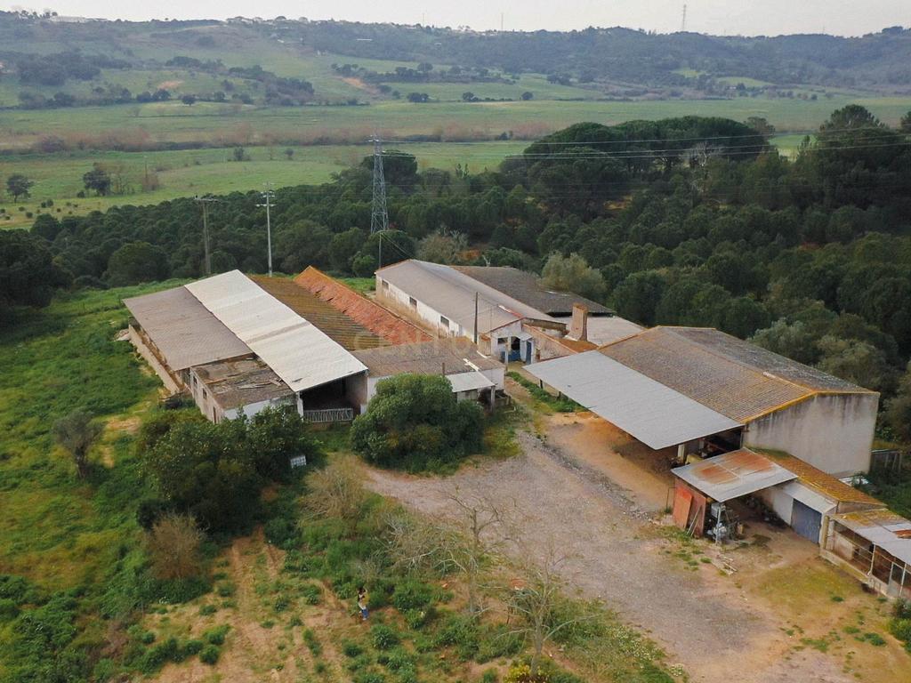 Quinta em Santarém com 24 Hectares de Terreno - Image 20