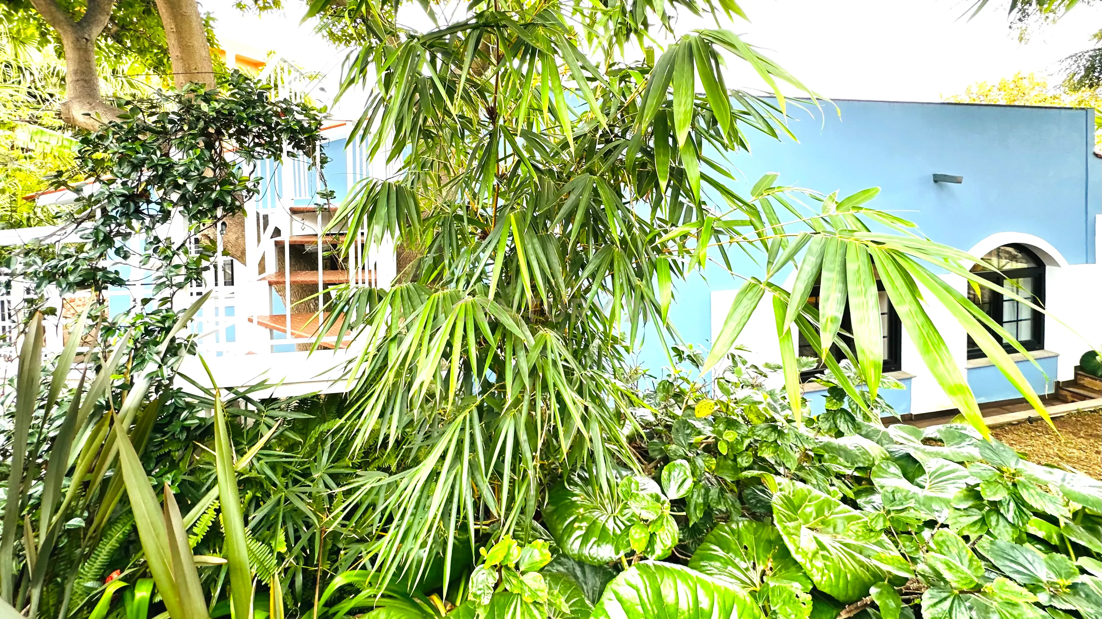 LUXURY PROPERTYS - Moradia Térrea no Garajau - Santa Cruz - Image 63