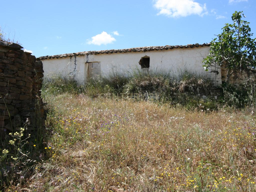 Terreno de 2.3 HA com casa antiga de 127 m2 para reconstrução, S.B. Messines, Silves - Image 1