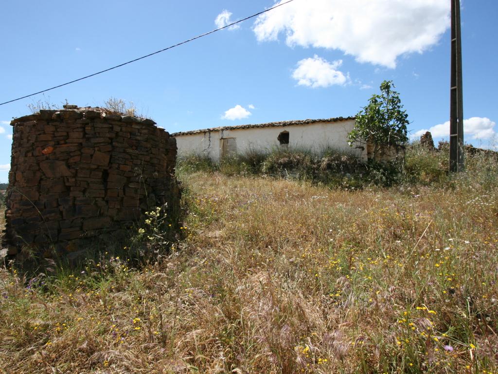 Terreno de 2.3 HA com casa antiga de 127 m2 para reconstrução, S.B. Messines, Silves - Image 6