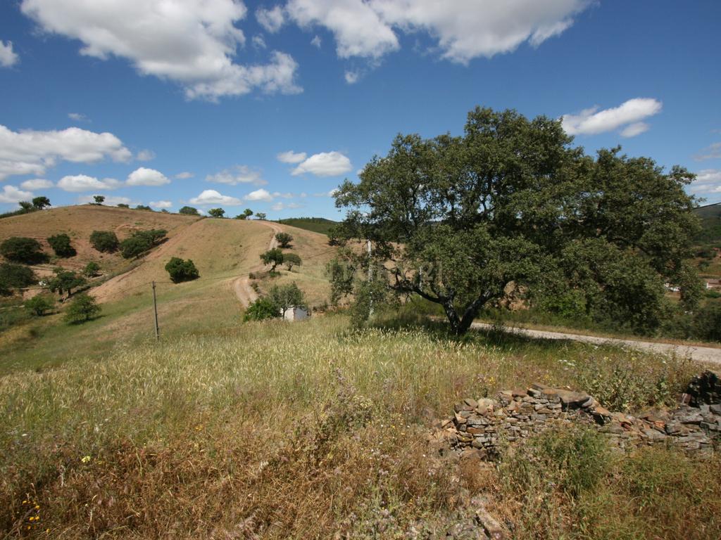 Terreno de 2.3 HA com casa antiga de 127 m2 para reconstrução, S.B. Messines, Silves - Image 18