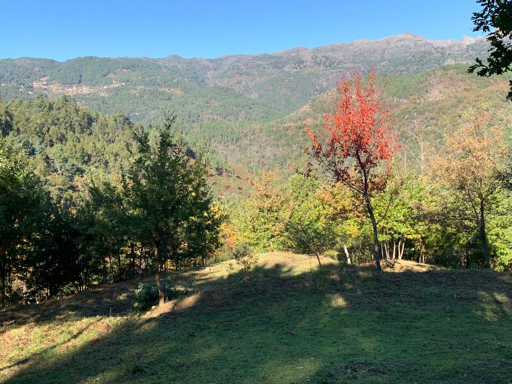 Fabulosa Quinta à Venda zona do Gerês – Um Oásis Natural com 28.000m² Terreno - Image 15