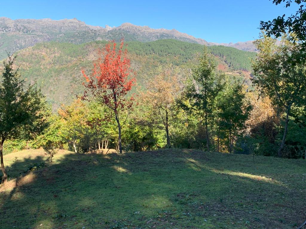 Fabulosa Quinta à Venda zona do Gerês – Um Oásis Natural com 28.000m² Terreno - Image 3