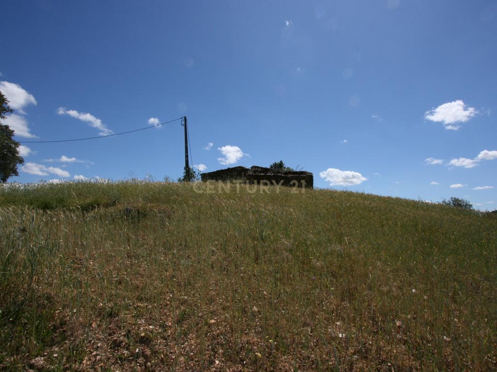 Terreno de 2.3 HA com casa antiga de 127 m2 para reconstrução, S.B. Messines, Silves - Image 16