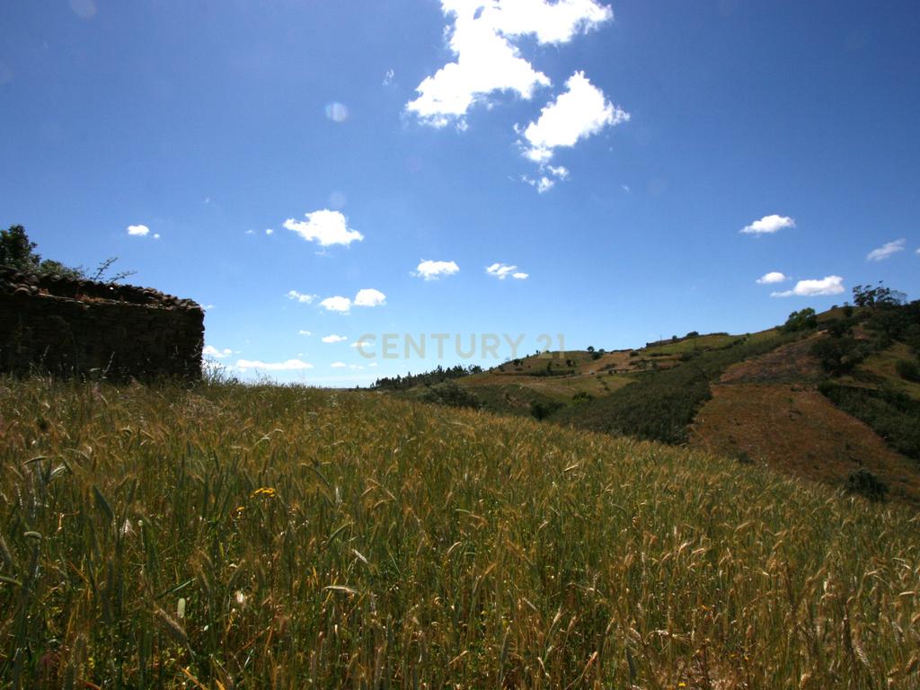 Terreno de 2.3 HA com casa antiga de 127 m2 para reconstrução, S.B. Messines, Silves - Image 8