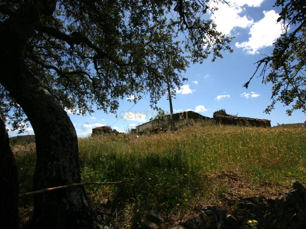 Terreno de 2.3 HA com casa antiga de 127 m2 para reconstrução, S.B. Messines, Silves - Image 9