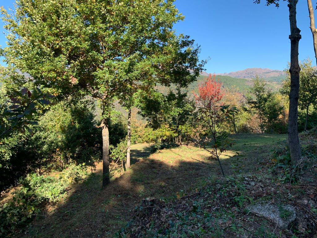 Fabulosa Quinta à Venda zona do Gerês – Um Oásis Natural com 28.000m² Terreno - Image 16