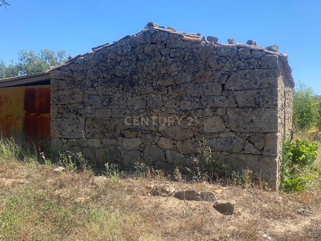 Terreno rústico com casa de xisto, Escalos de Baixo| Castelo Branco - Image 4